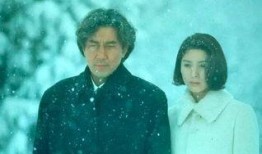 2017伦理在线观看.,深度解析伦理议题的年度盛宴