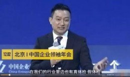 爱康董事长爆料新闻视频,新闻视频背后的惊人内幕